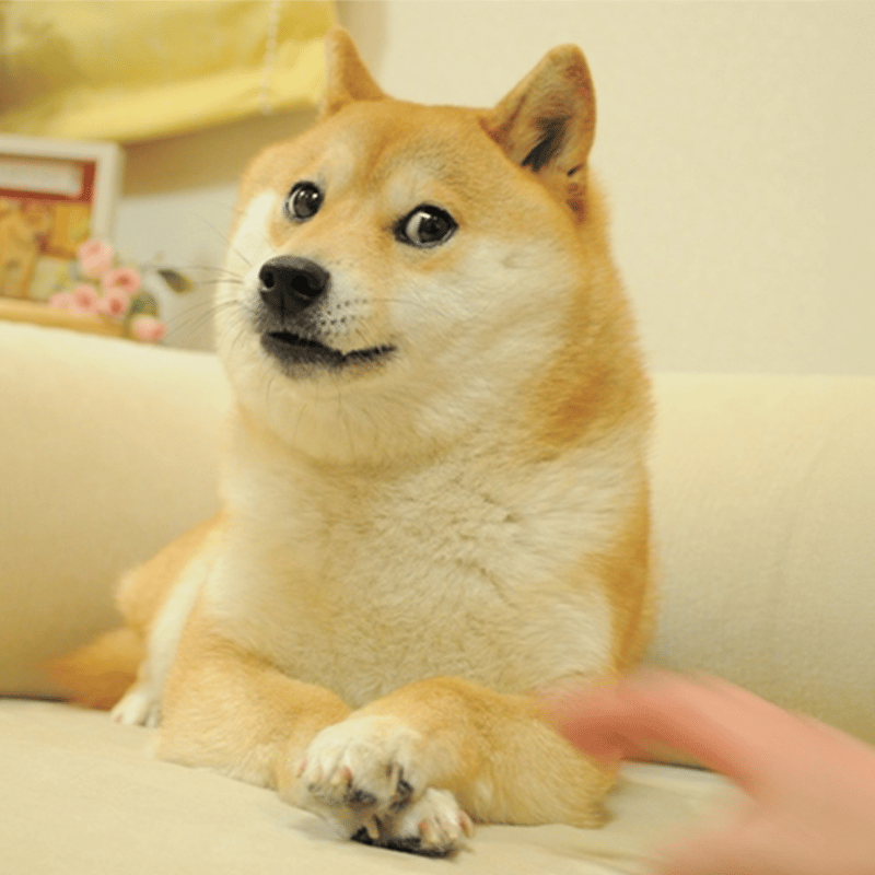 DOG logo